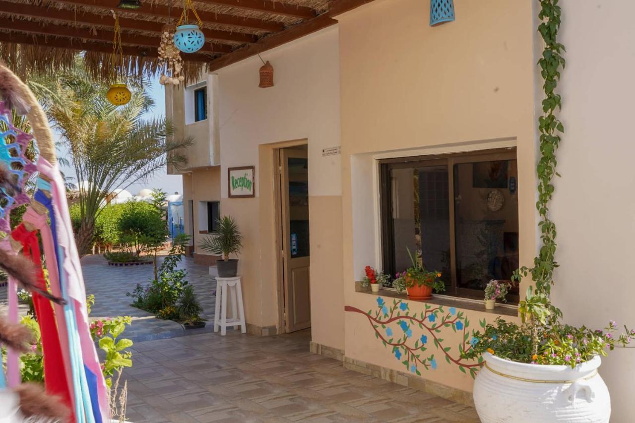 Miramar Camp Dahab Otel Dış mekan fotoğraf