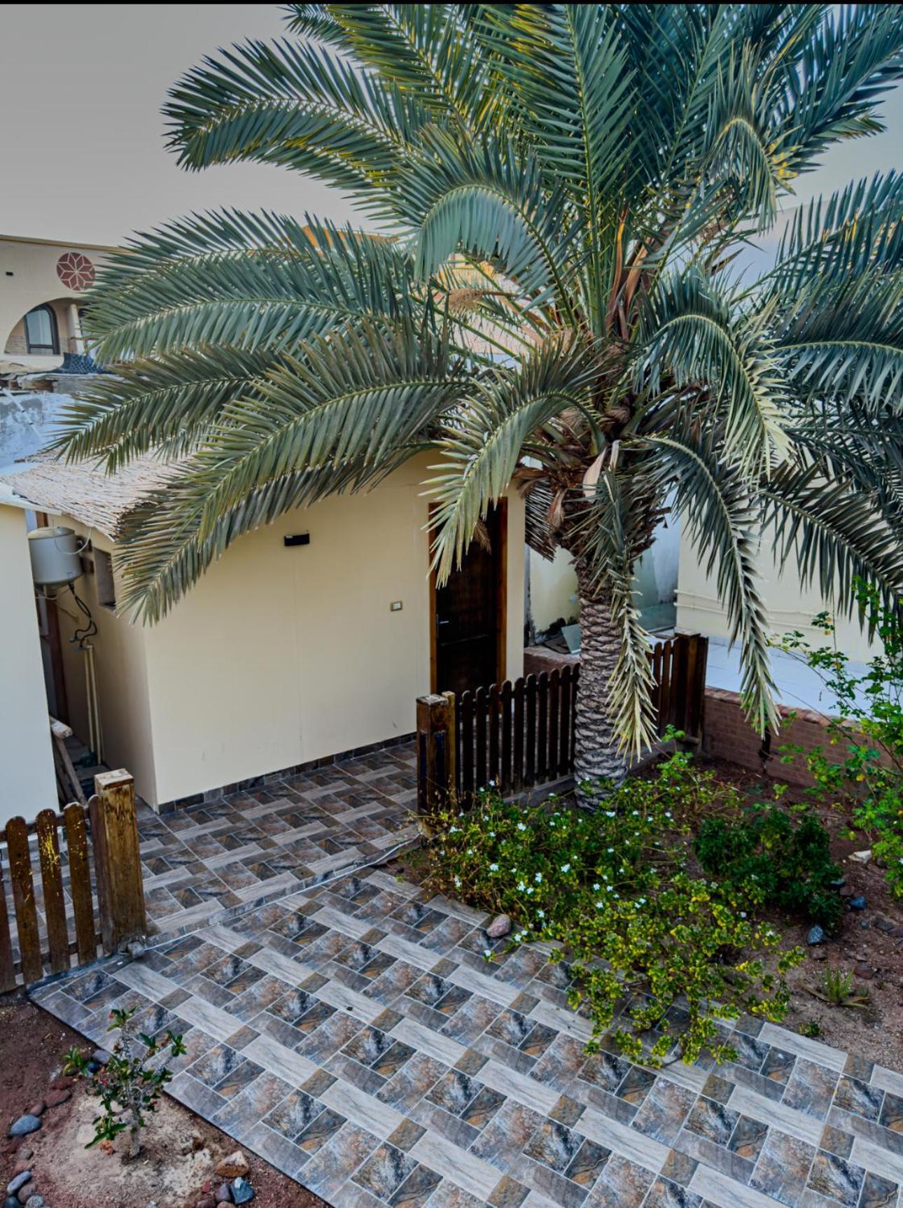 Miramar Camp Dahab Otel Dış mekan fotoğraf