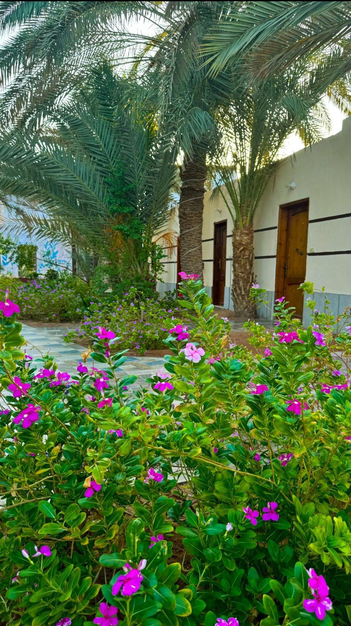Miramar Camp Dahab Otel Dış mekan fotoğraf
