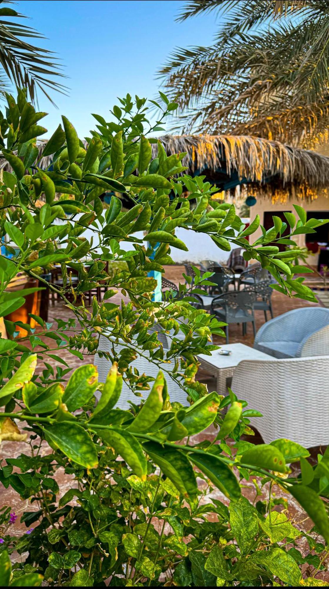 Miramar Camp Dahab Otel Dış mekan fotoğraf