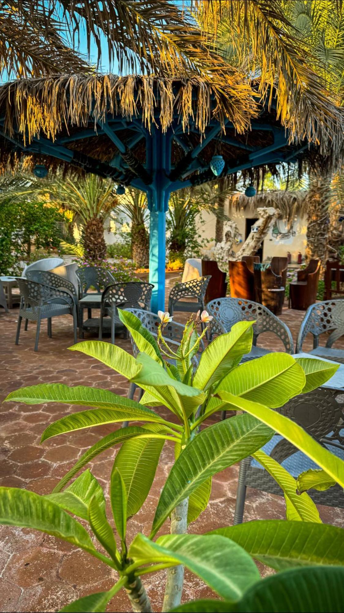 Miramar Camp Dahab Otel Dış mekan fotoğraf