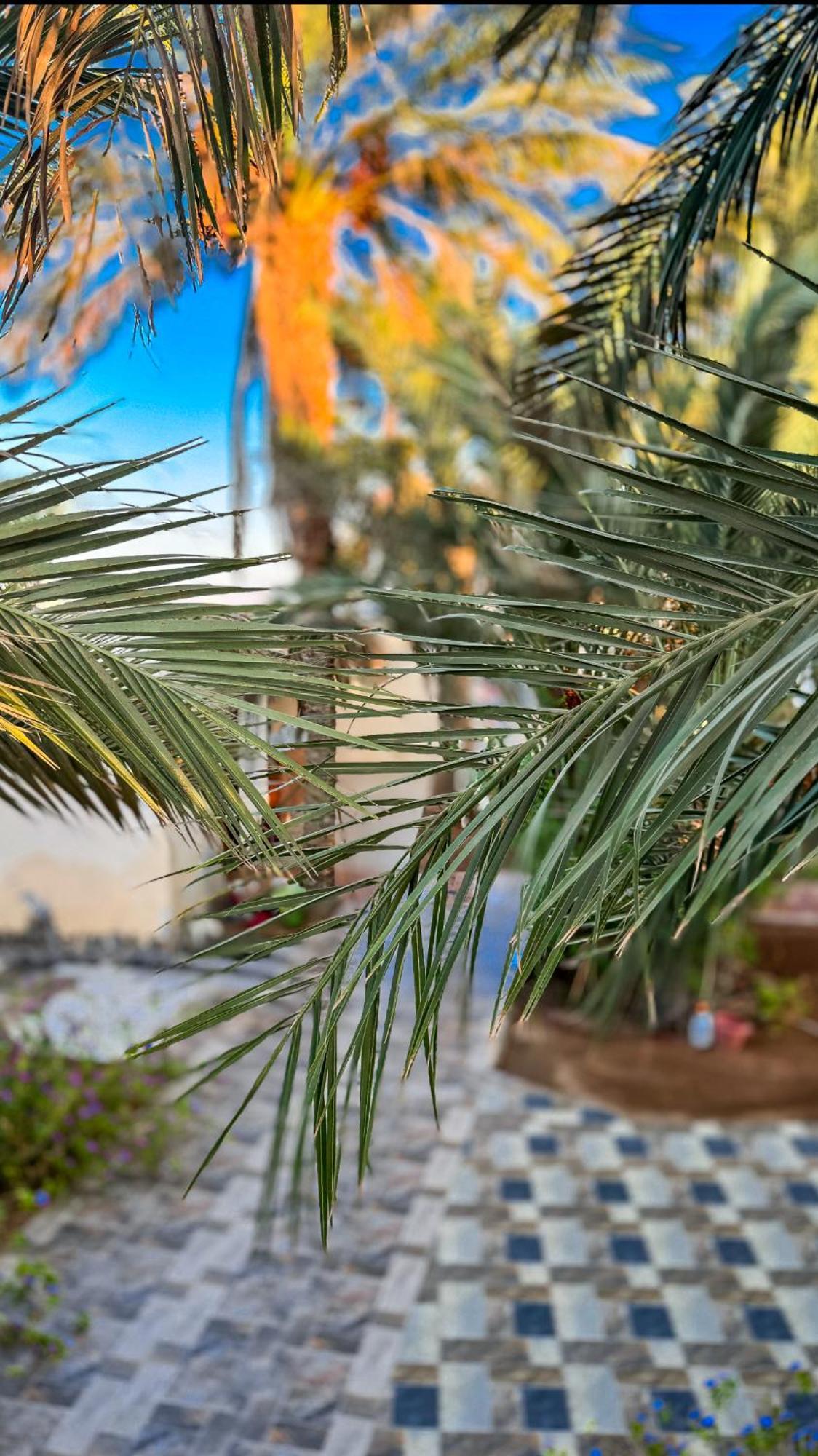 Miramar Camp Dahab Otel Dış mekan fotoğraf