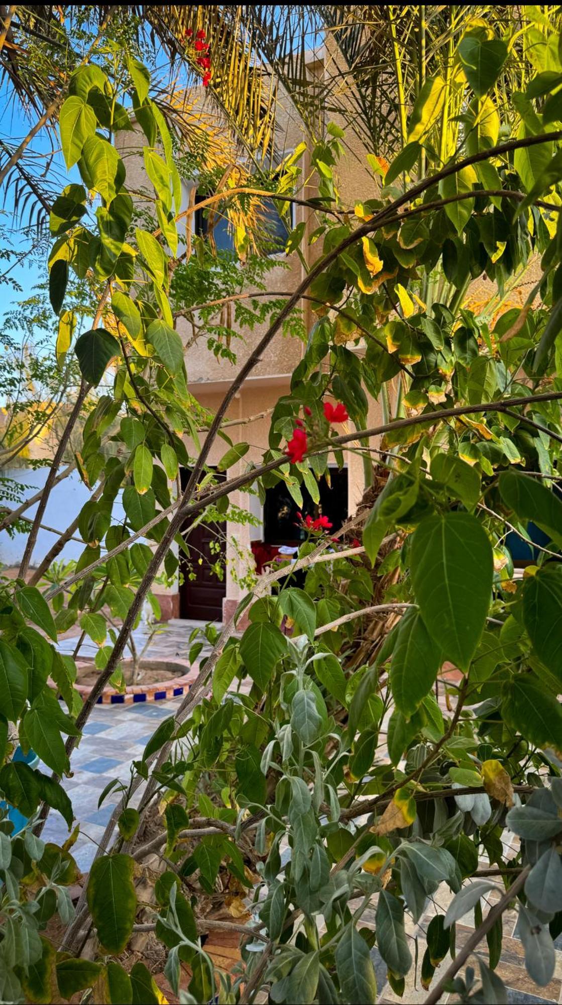 Miramar Camp Dahab Otel Dış mekan fotoğraf