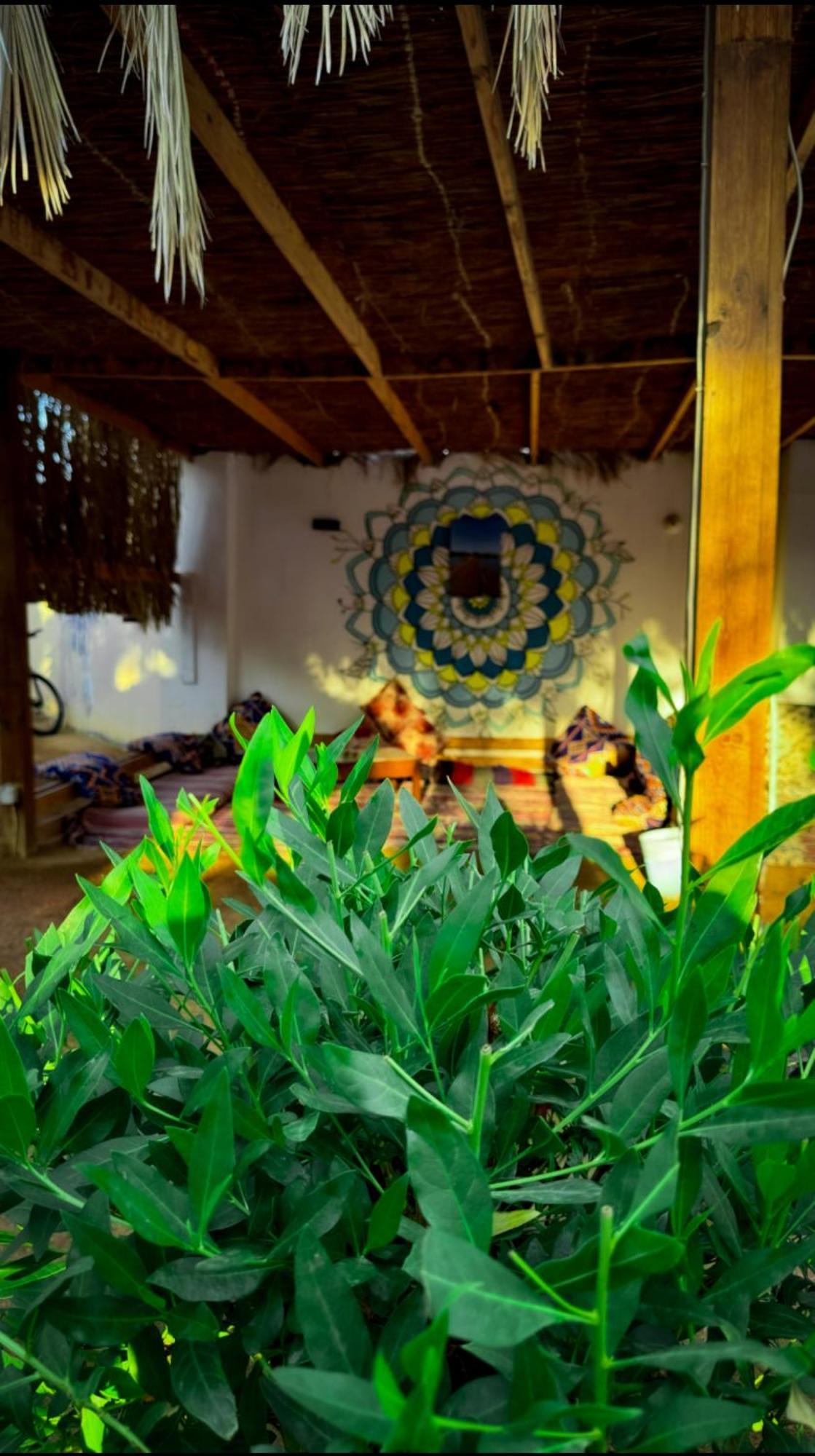 Miramar Camp Dahab Otel Dış mekan fotoğraf