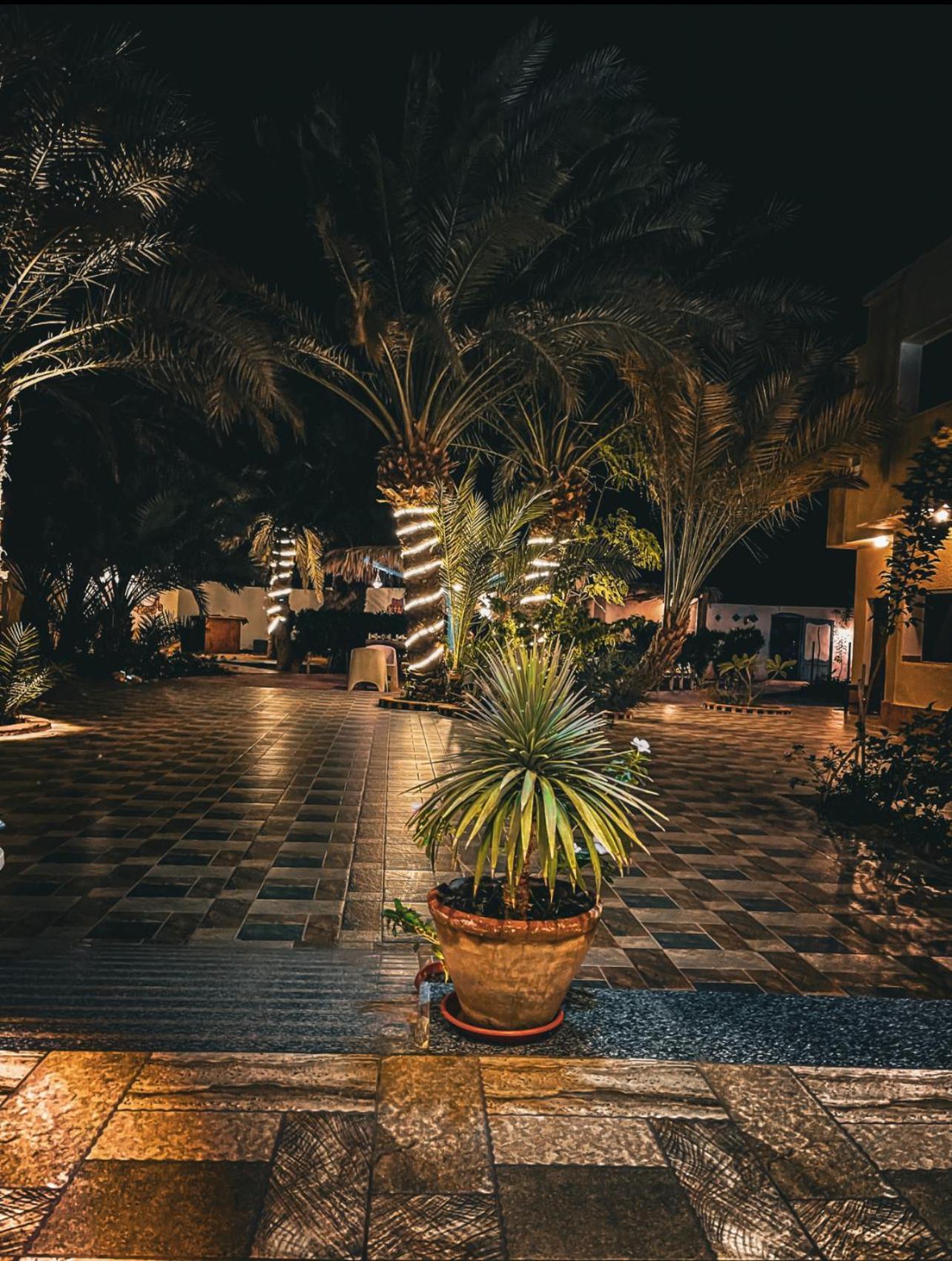 Miramar Camp Dahab Otel Dış mekan fotoğraf