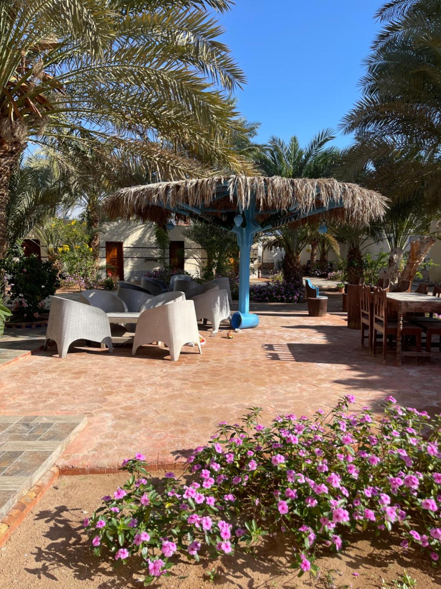 Miramar Camp Dahab Otel Dış mekan fotoğraf